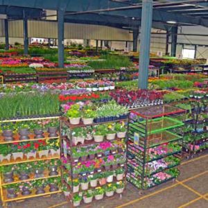 Facilities-header