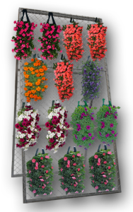 Merchandising-plants-in-rack