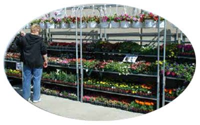 side-walk-dispaly-fixture