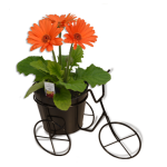 Bike Planter