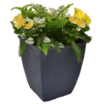 Premium Begonia Container w Fern